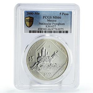 Mexico 5 pesos Conservation Wildlife Pronghorn Fauna MS66 PCGS silver coin 2000