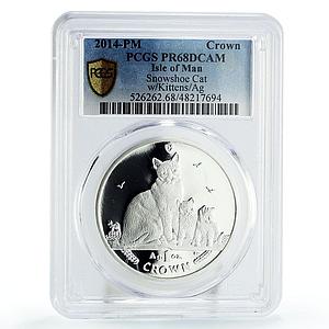 Isle of Man 1 crown Home Pets Snowshoe Cat Kitten Animals PR68 PCGS Ag coin 2014