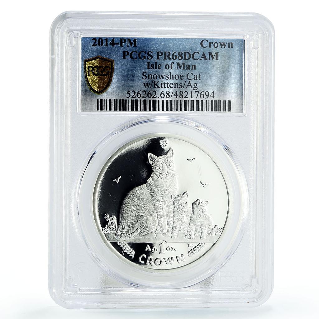 Isle of Man 1 crown Home Pets Snowshoe Cat Kitten Animals PR68 PCGS Ag coin 2014