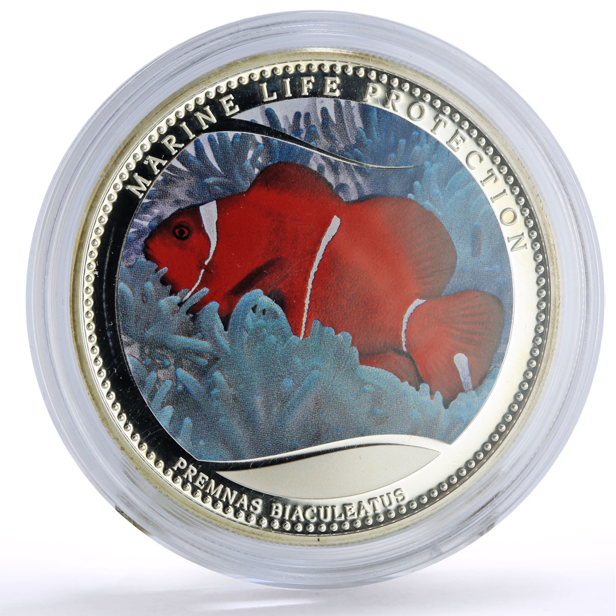 Palau 5 dollars Marine Life Protection Clownfish Fauna proof silver coin 2011