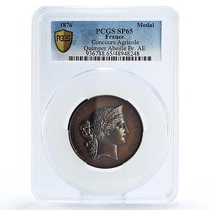 France Concours Agricole Agriculture Ministry SP65 PCGS copper medal coin 1876