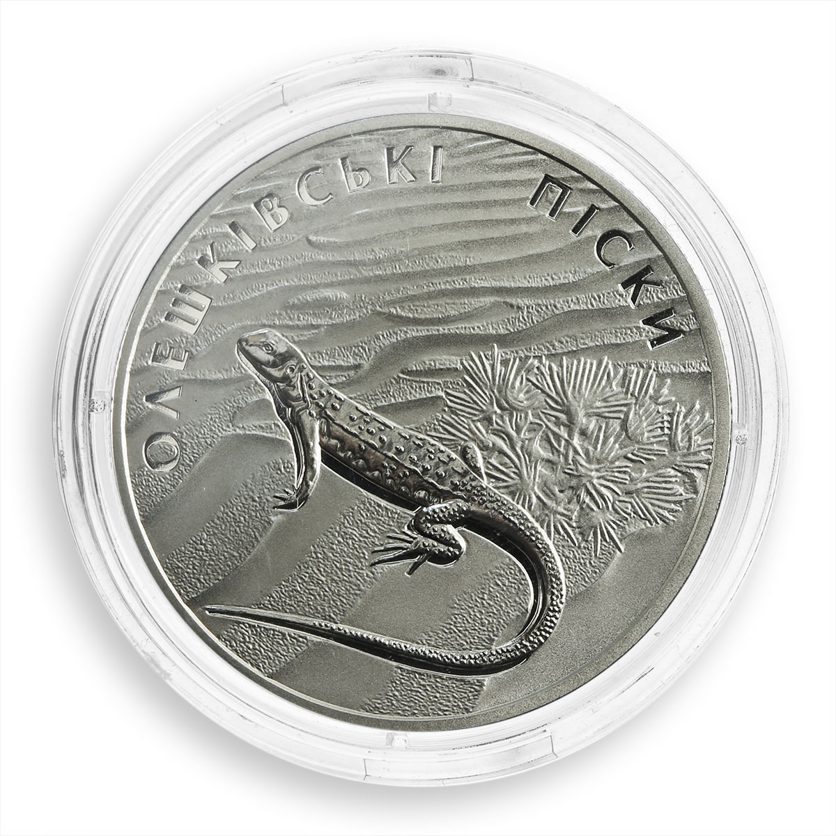 Ukraine, 2 hryvnias, OLESHKY SANDS, Lizard, Nature Park, nickel silver coin 2015