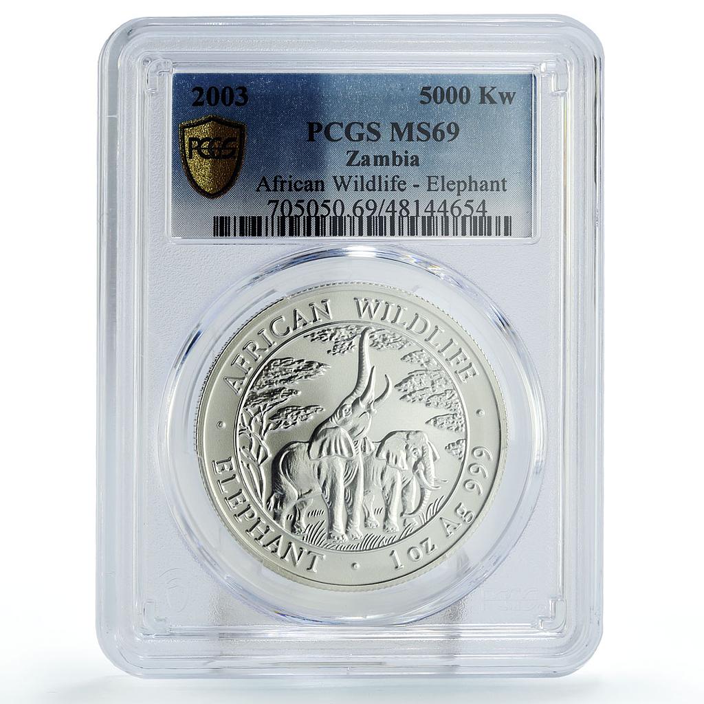 Zambia 5000 kwacha African Wildlife Elephant Matte MS69 PCGS silver coin 2003