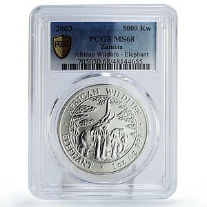 Zambia 5000 kwacha African Wildlife Elephant Matte MS68 PCGS silver coin 2003