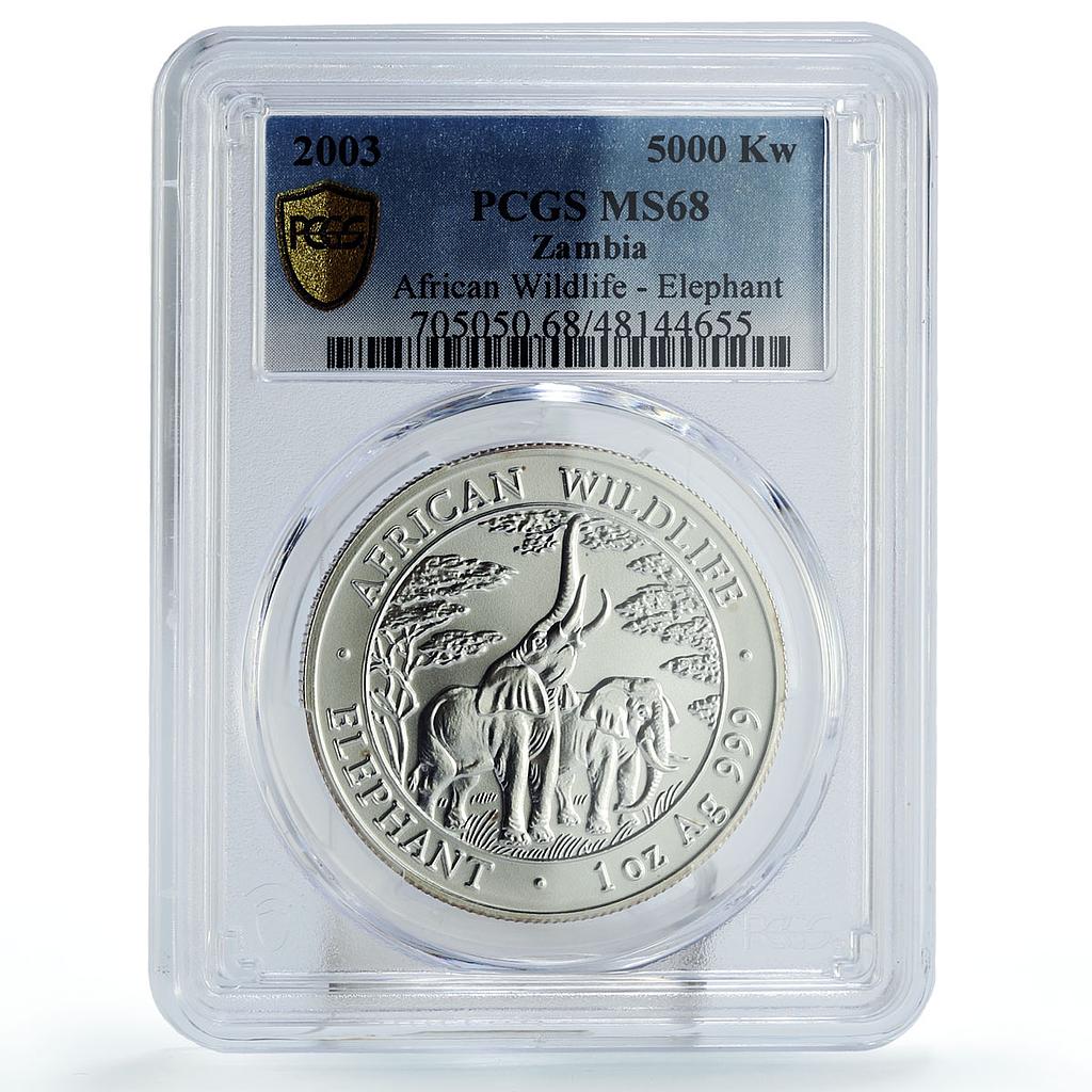 Zambia 5000 kwacha African Wildlife Elephant Matte MS68 PCGS silver coin 2003