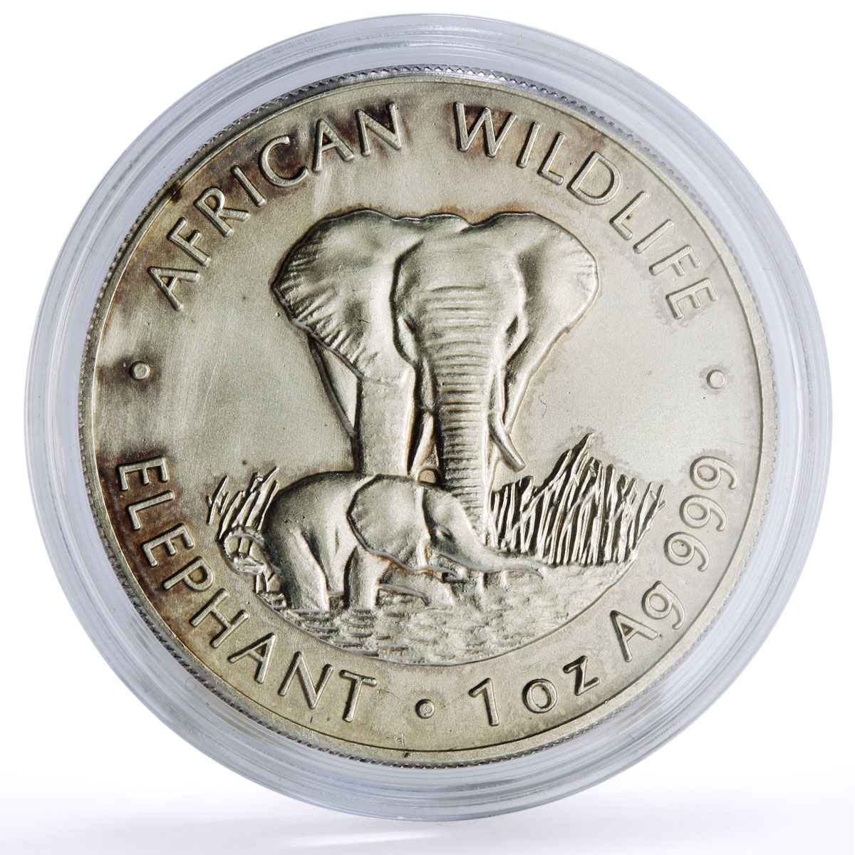 Zambia 5000 kwacha African Wildlife Elephant Fauna Matte silver coin 1999