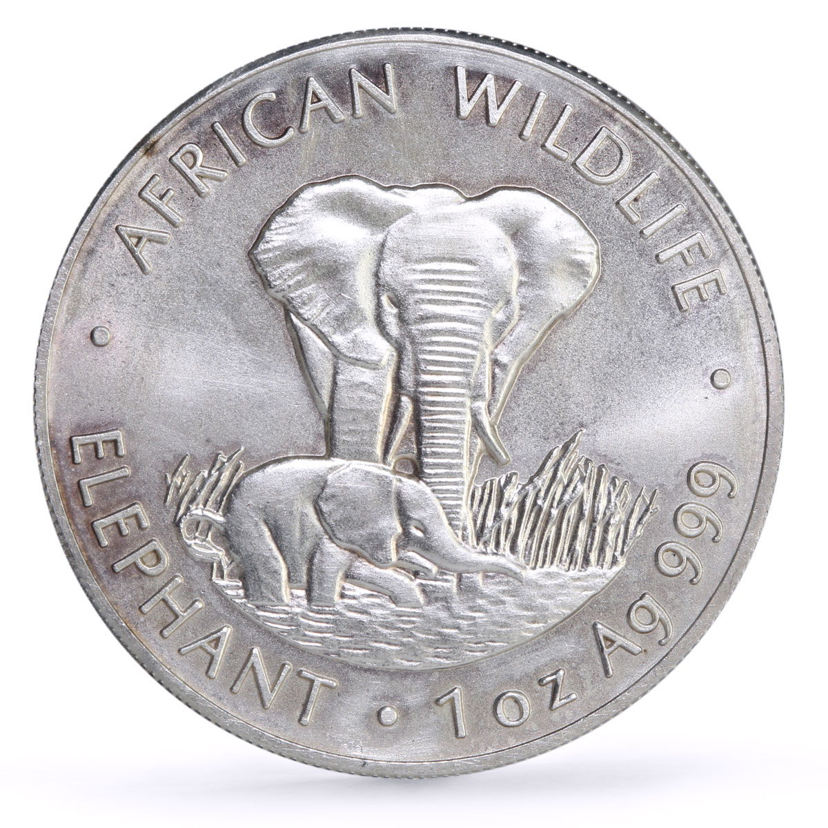 Zambia 5000 kwacha African Wildlife Elephant Fauna Matte silver coin 1999