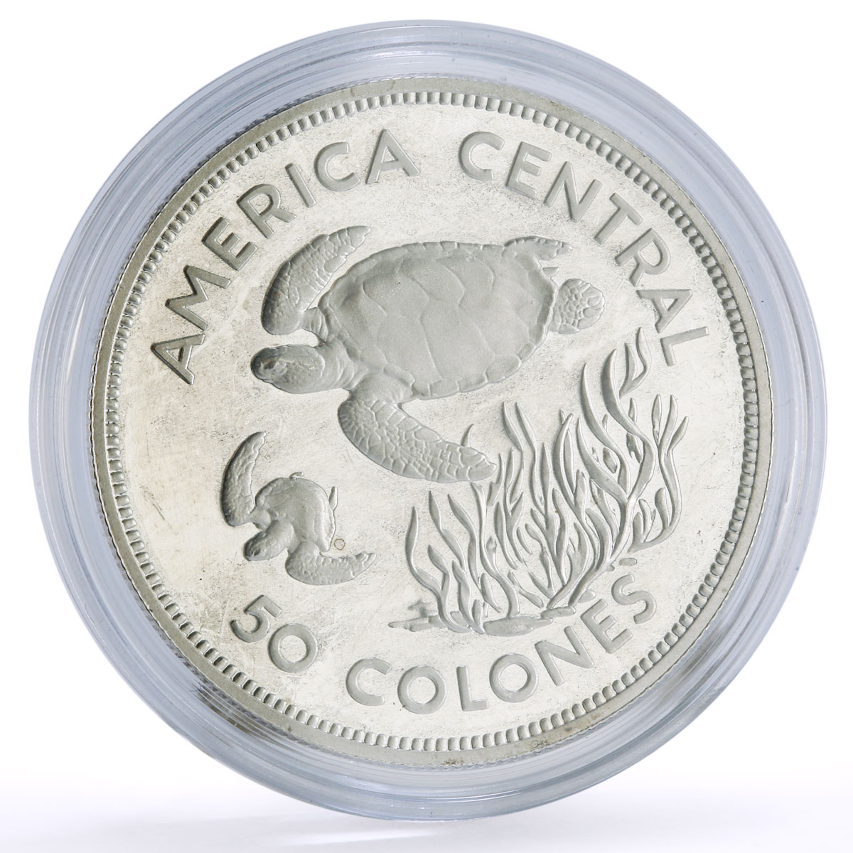 Costa Rica 50 colones Conservation Wildlife Turtle Fauna proof silver coin 1974