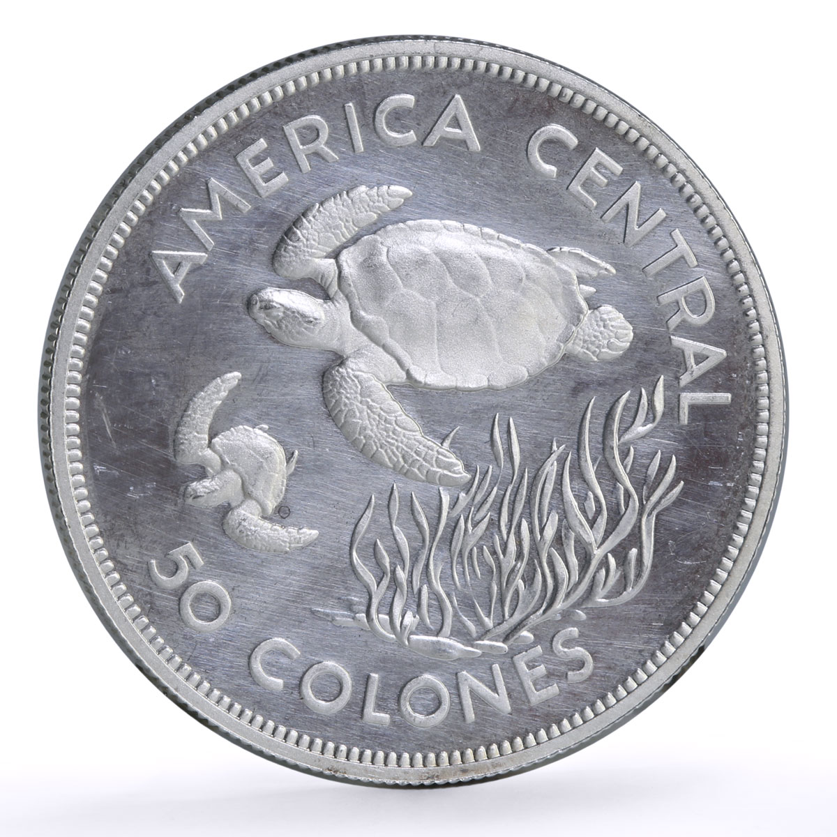 Costa Rica 50 colones Conservation Wildlife Turtle Fauna proof silver coin 1974