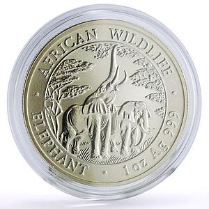 Zambia 5000 kwacha African Wildlife Elephants Fauna Matte silver coin 2003