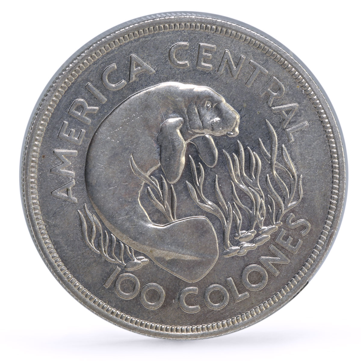 Costa Rica 100 colones Conservation Wildlife Manatee Fauna silver coin 1974