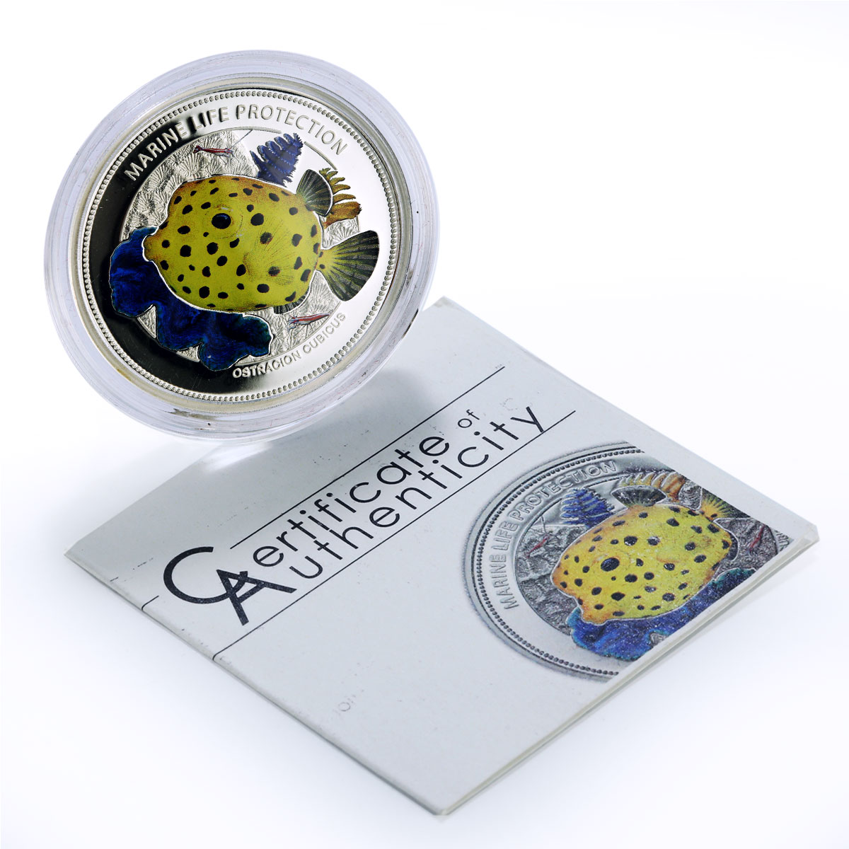 Palau 5 dollars Marine Life Protection Boxfish Fauna proof silver coin 2014