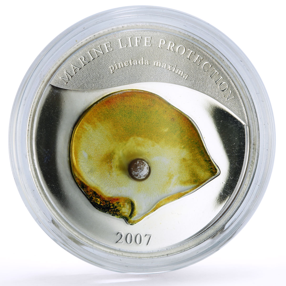 Palau 5 dollars Marine Life Pearl Oyster Pinctada Maxima Shell silver coin 2007