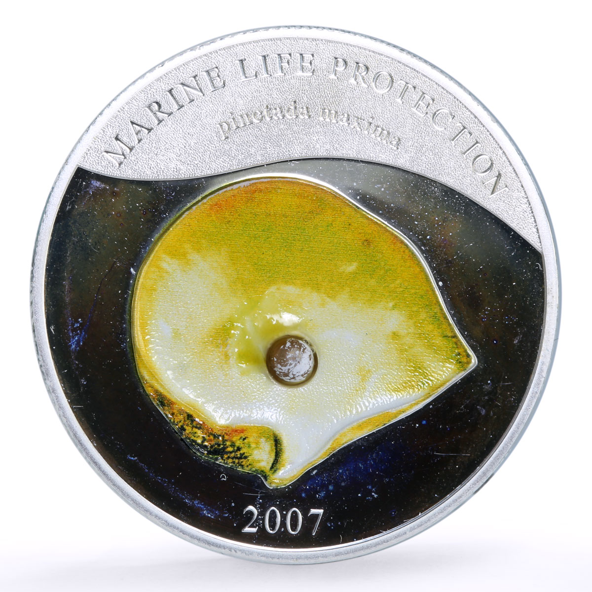 Palau 5 dollars Marine Life Pearl Oyster Pinctada Maxima Shell silver coin 2007