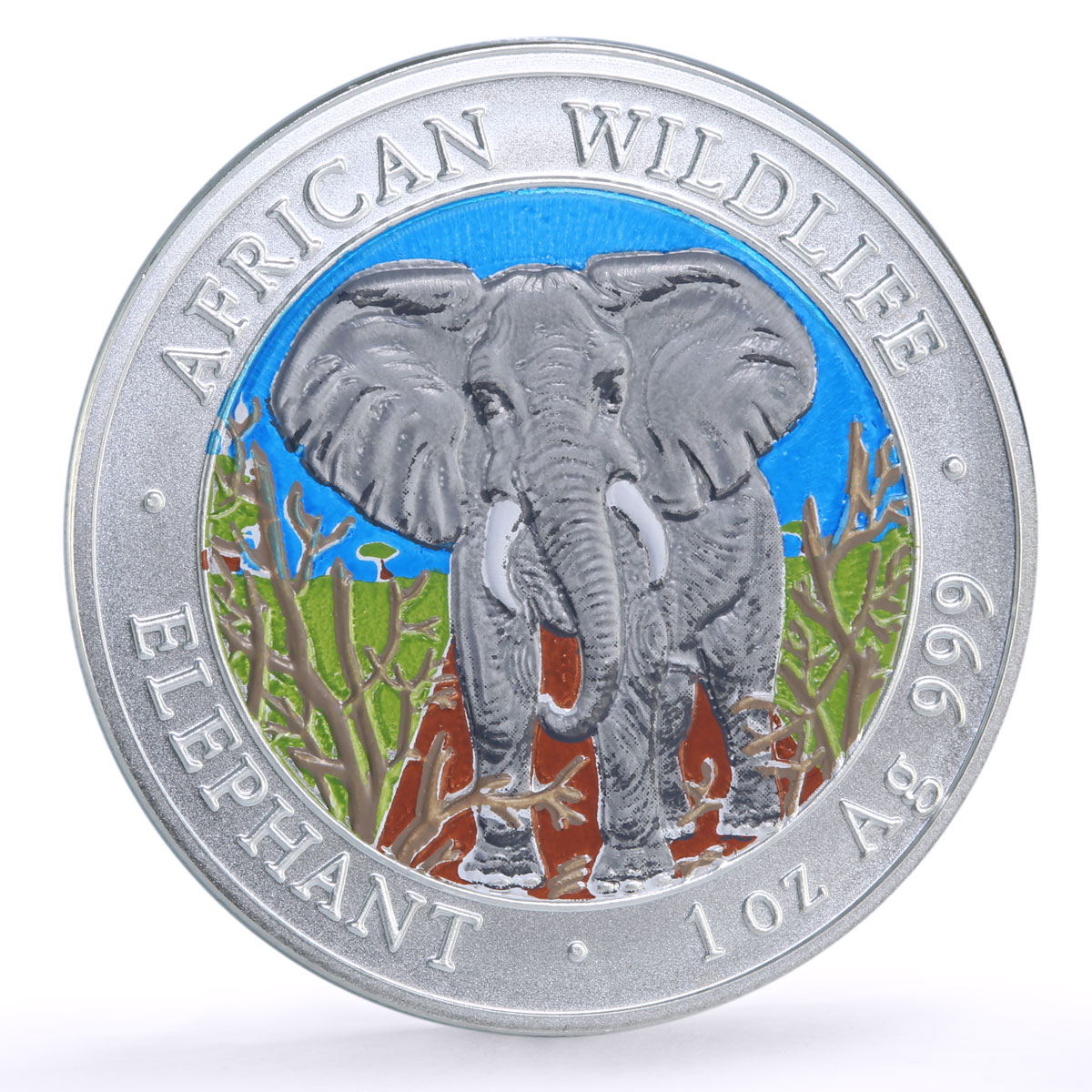 Somalia 1000 shillings African Wildlife Elephant Fauna colored silver coin 2004