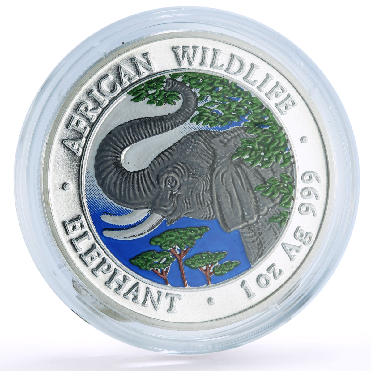Somalia 1000 shillings African Wildlife Elephant Fauna colored silver coin 2005