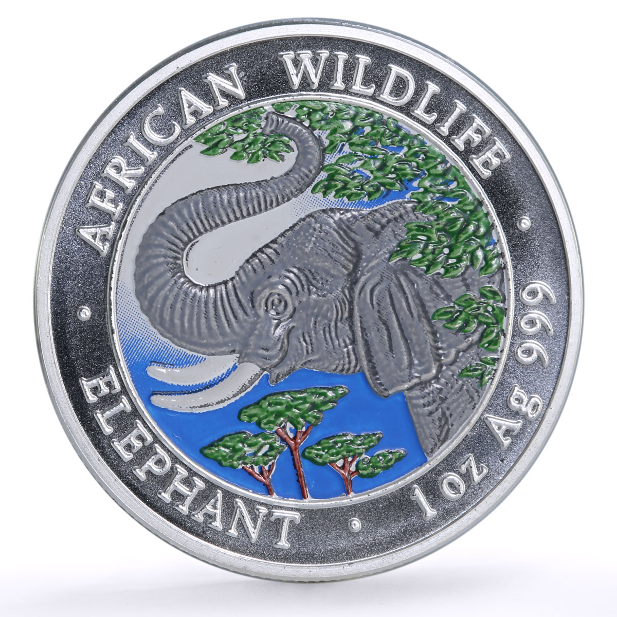 Somalia 1000 shillings African Wildlife Elephant Fauna colored silver coin 2005
