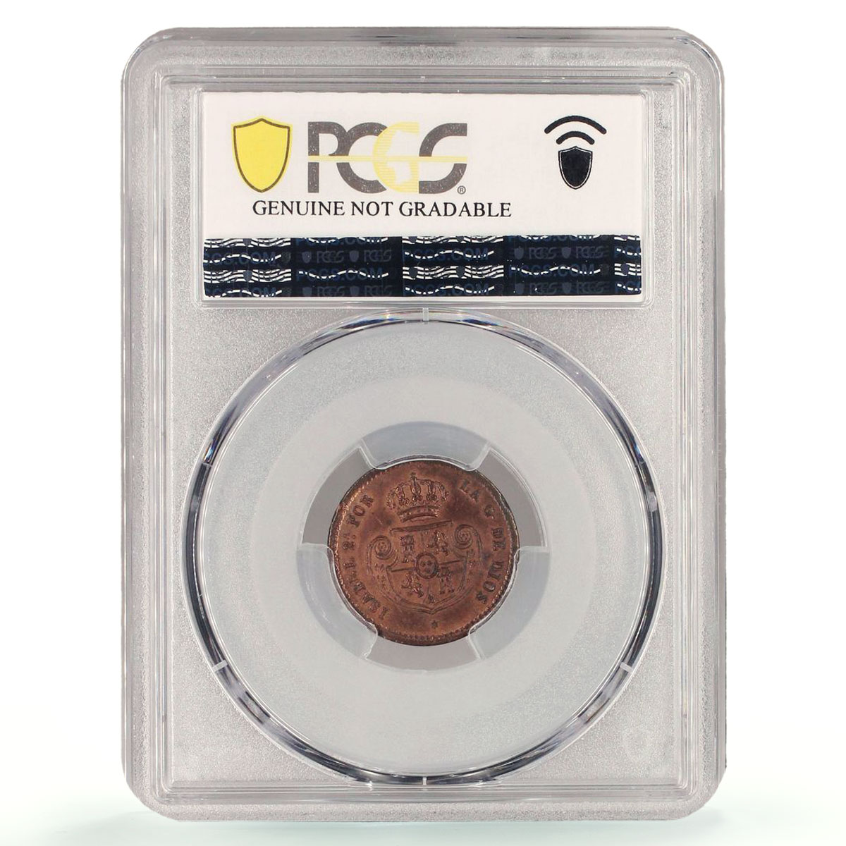 Spain 1/10 real Queen Isabella II Coinage Segovia KM-590 PCGS copper coin 1850