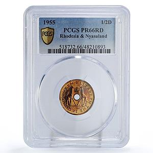 Rhodesia Nyasaland 1/2 penny Regular Coinage Giraffes PR66 PCGS bronze coin 1955