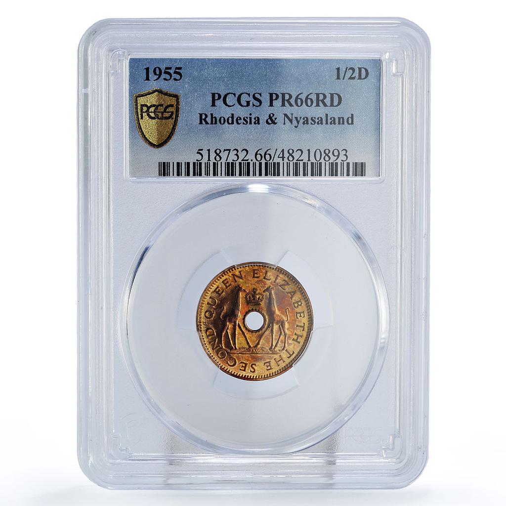 Rhodesia Nyasaland 1/2 penny Regular Coinage Giraffes PR66 PCGS bronze coin 1955