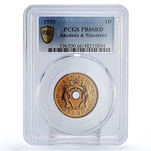 Rhodesia Nyasaland 1 penny Regular Coinage Elephants PR66 PCGS bronze coin 1955