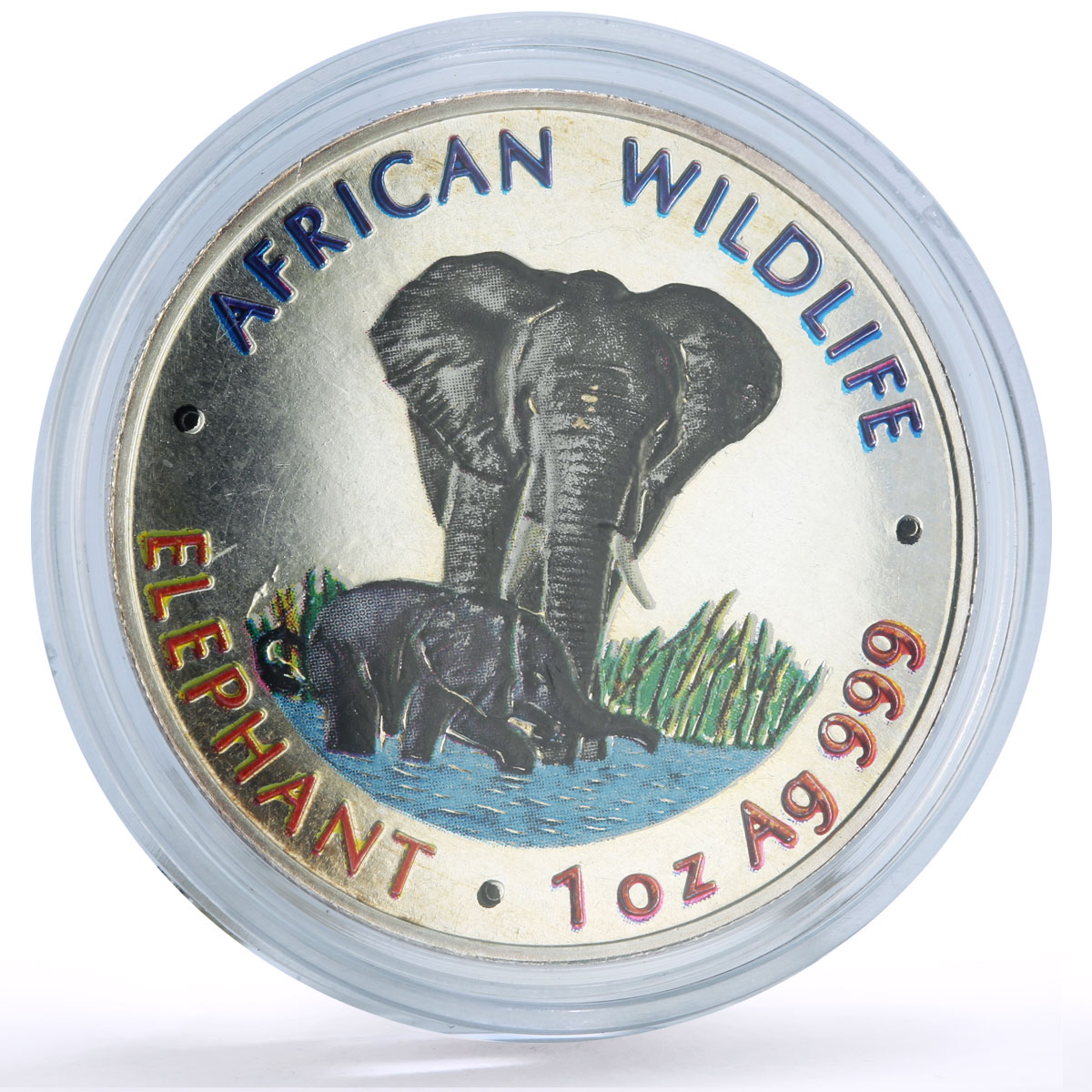 Zambia 5000 kwacha African Wildlife Elephant Fauna colored silver coin 1999