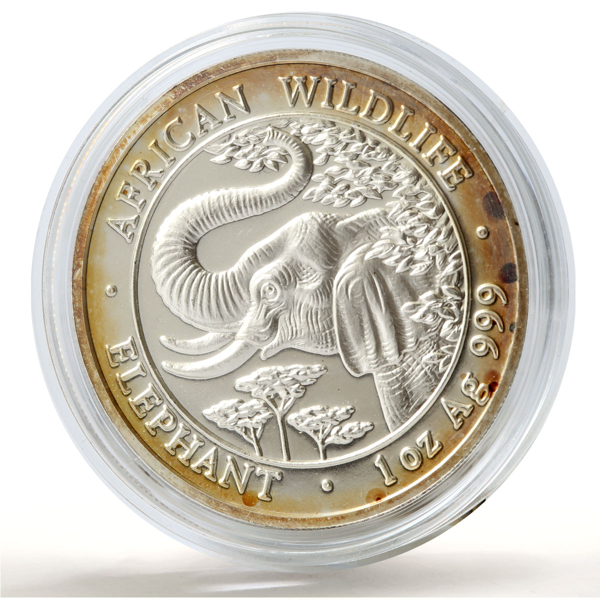 Somalia 1000 shillings African Wildlife Elephant Fauna silver coin 2005