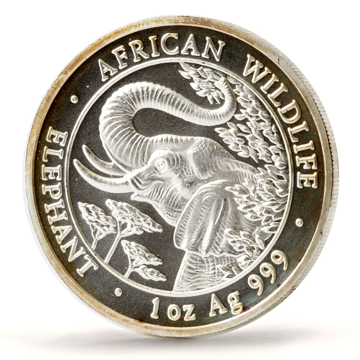 Somalia 1000 shillings African Wildlife Elephant Fauna silver coin 2005