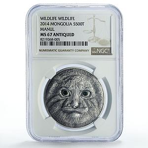 Mongolia 500 togrog Conservation Wildlife Manul Fauna MS67 NGC silver coin 2014