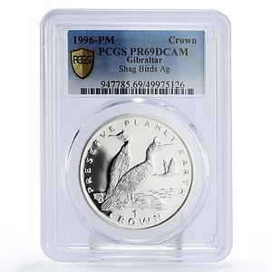 Gibraltar 1 crown Preserve Planet Earth Shag Birds PR69 PCGS silver coin 1996