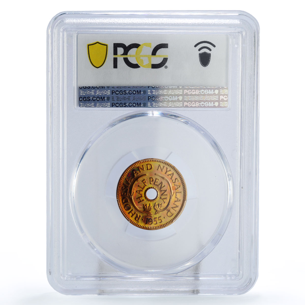 Rhodesia Nyasaland 1/2 penny Regular Coinage Giraffes PR66 PCGS bronze coin 1955