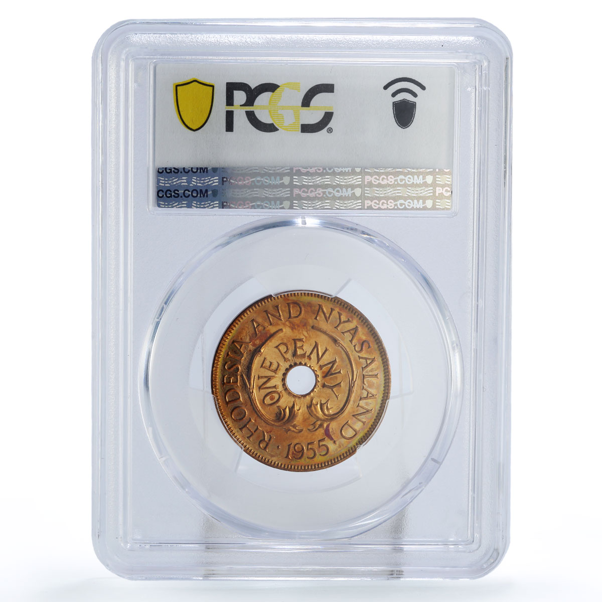 Rhodesia Nyasaland 1 penny Regular Coinage Elephants PR66 PCGS bronze coin 1955
