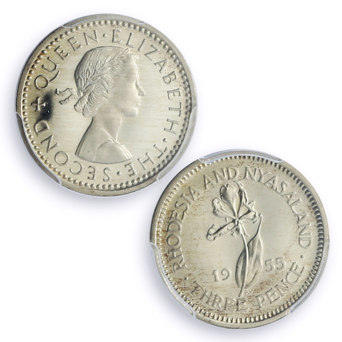 Rhodesia Nyasaland 3 pence Regular Coinage Flower PR67 PCGS silver coin 1955