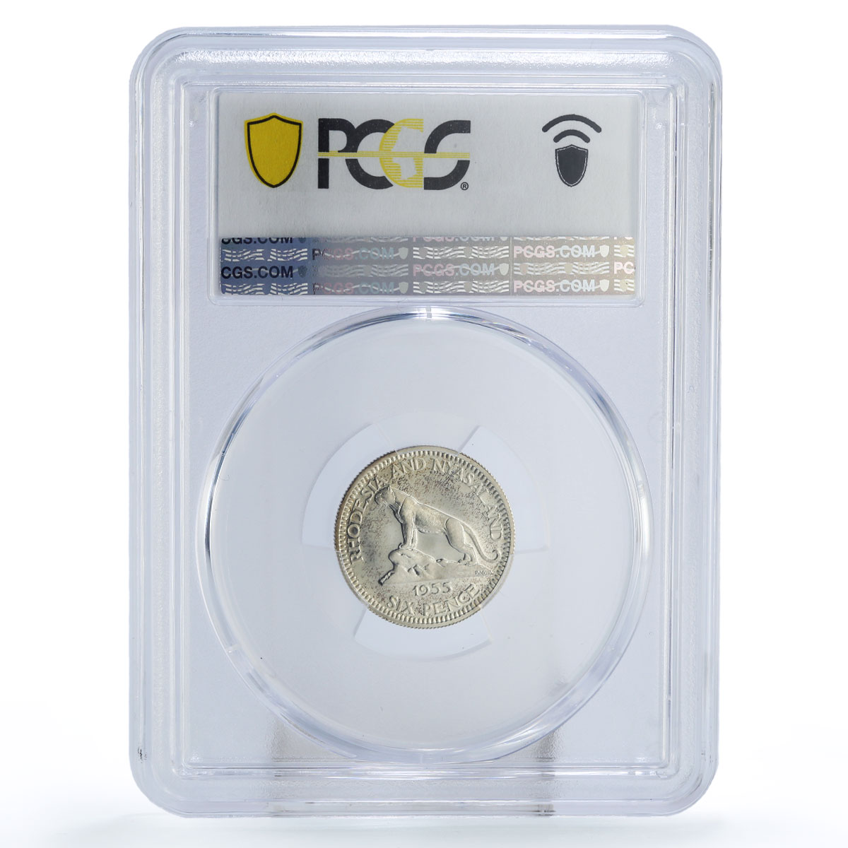 Rhodesia Nyasaland 6 pence Regular Coinage Leopard PR66 PCGS silver coin 1955