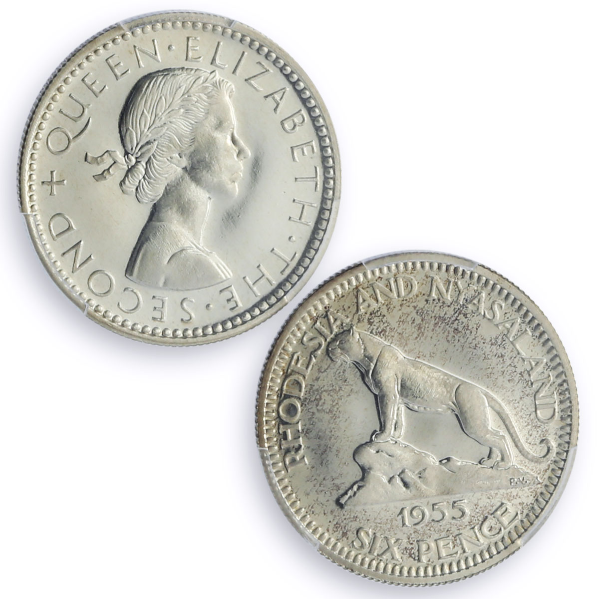 Rhodesia Nyasaland 6 pence Regular Coinage Leopard PR66 PCGS silver coin 1955