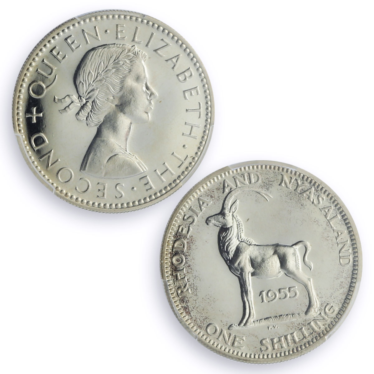 Rhodesia Nyasaland 1 shilling Regular Coinage Antelope PR65 PCGS Ag coin 1955