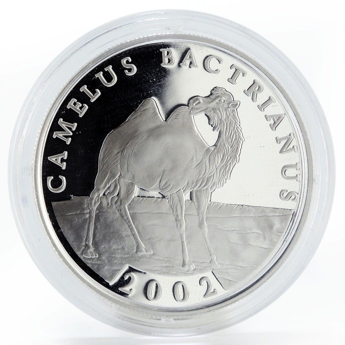 Mongolia 500 togrog Camel proof silver coin 2002