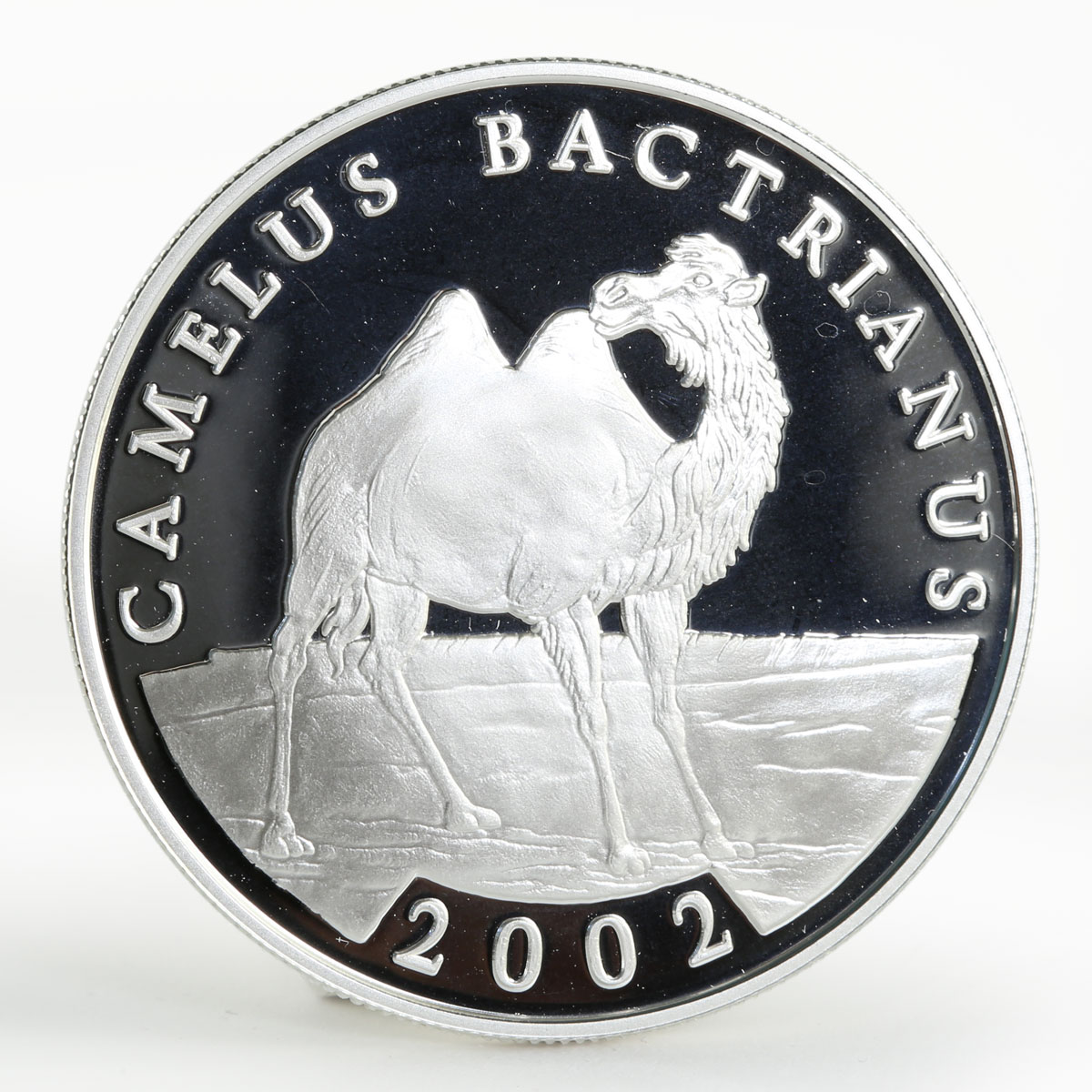 Mongolia 500 togrog Camel proof silver coin 2002