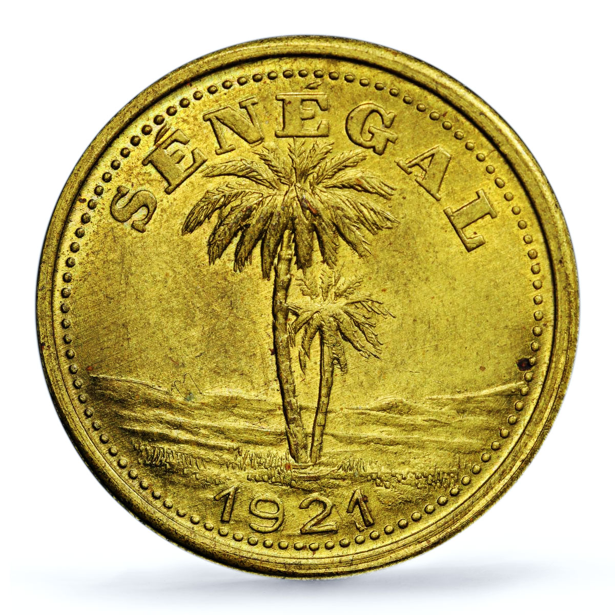 Senegal 50 centimes Ziguinchor Coinage Palm Tree MS64 PCGS brass coin 1921 Senegal 50 centimes Ziguinchor Coinage Palm Tree MS64 PCGS brass coin 1921
