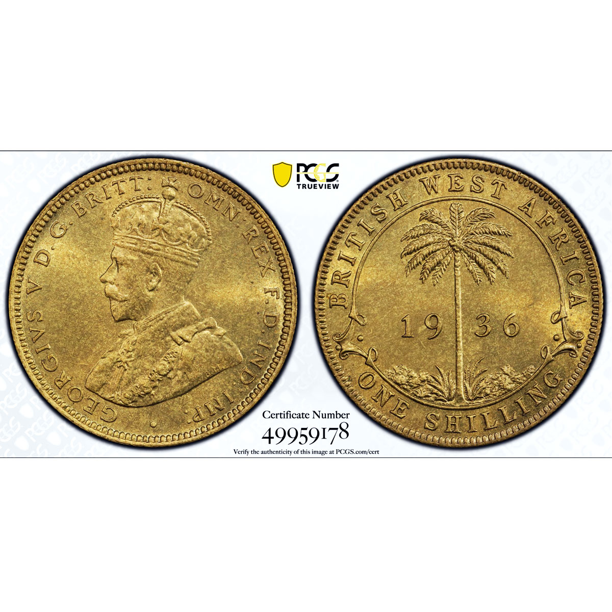 Great Britain West Africa 1 shilling George V KM-12a MS65 PCGS brass coin 1936