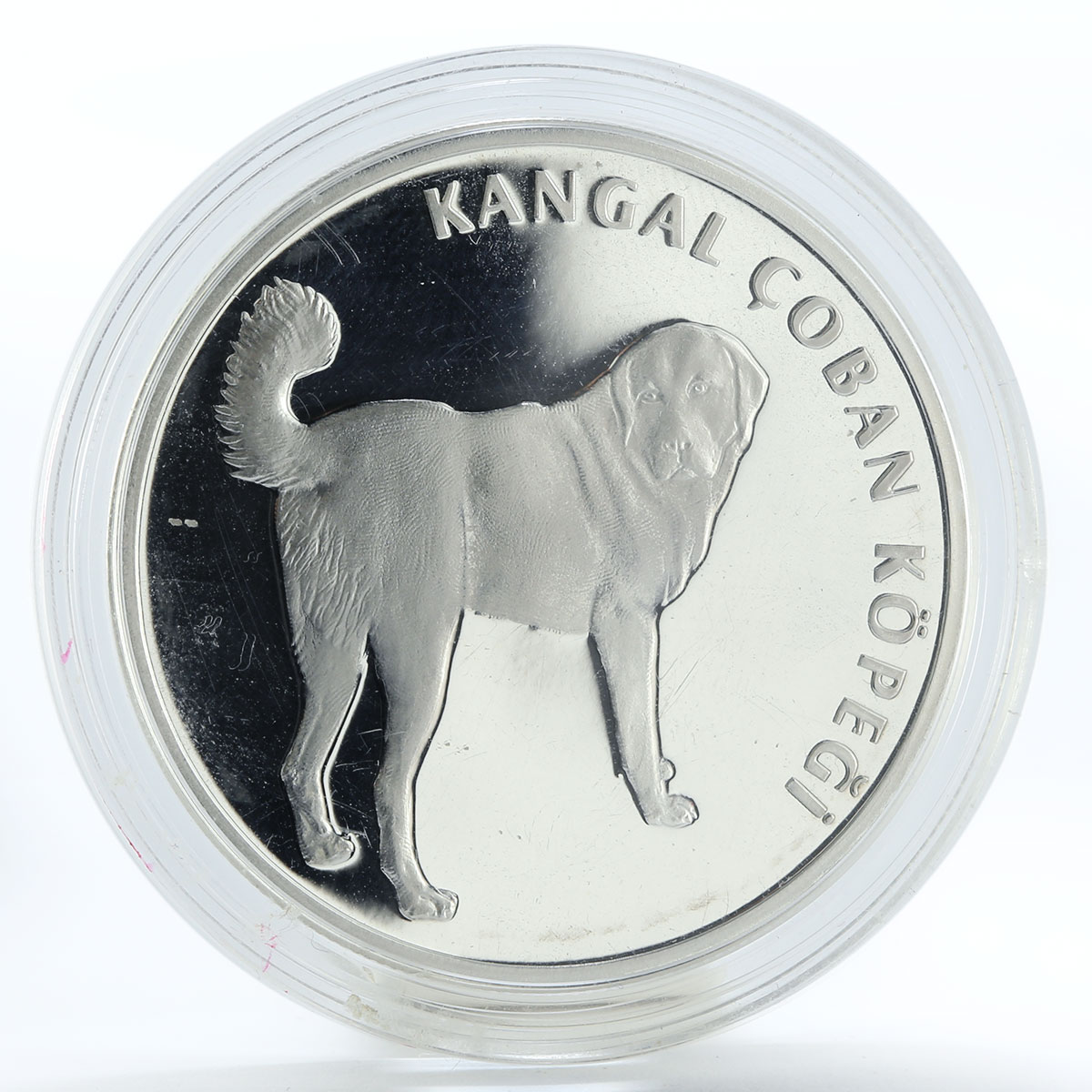 Turkey 20 yeni lira Turkish Kangal Dog proof silver coin 2005