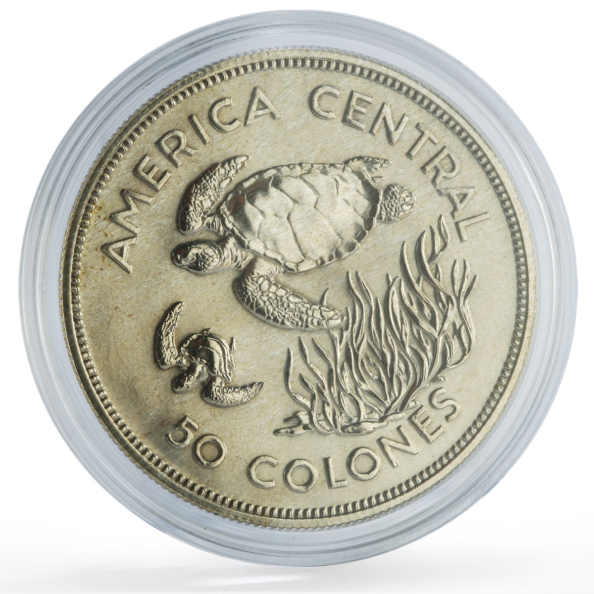 Costa Rica 50 colones Conservation Wildlife Green Turtle Fauna silver coin 1974