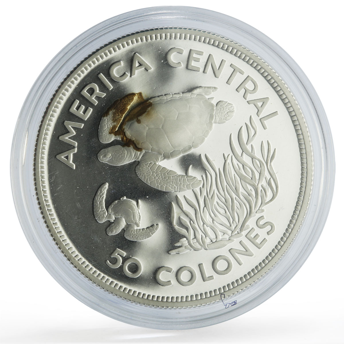 Costa Rica 50 colones Conservation Wildlife Turtle Fauna proof silver coin 1974