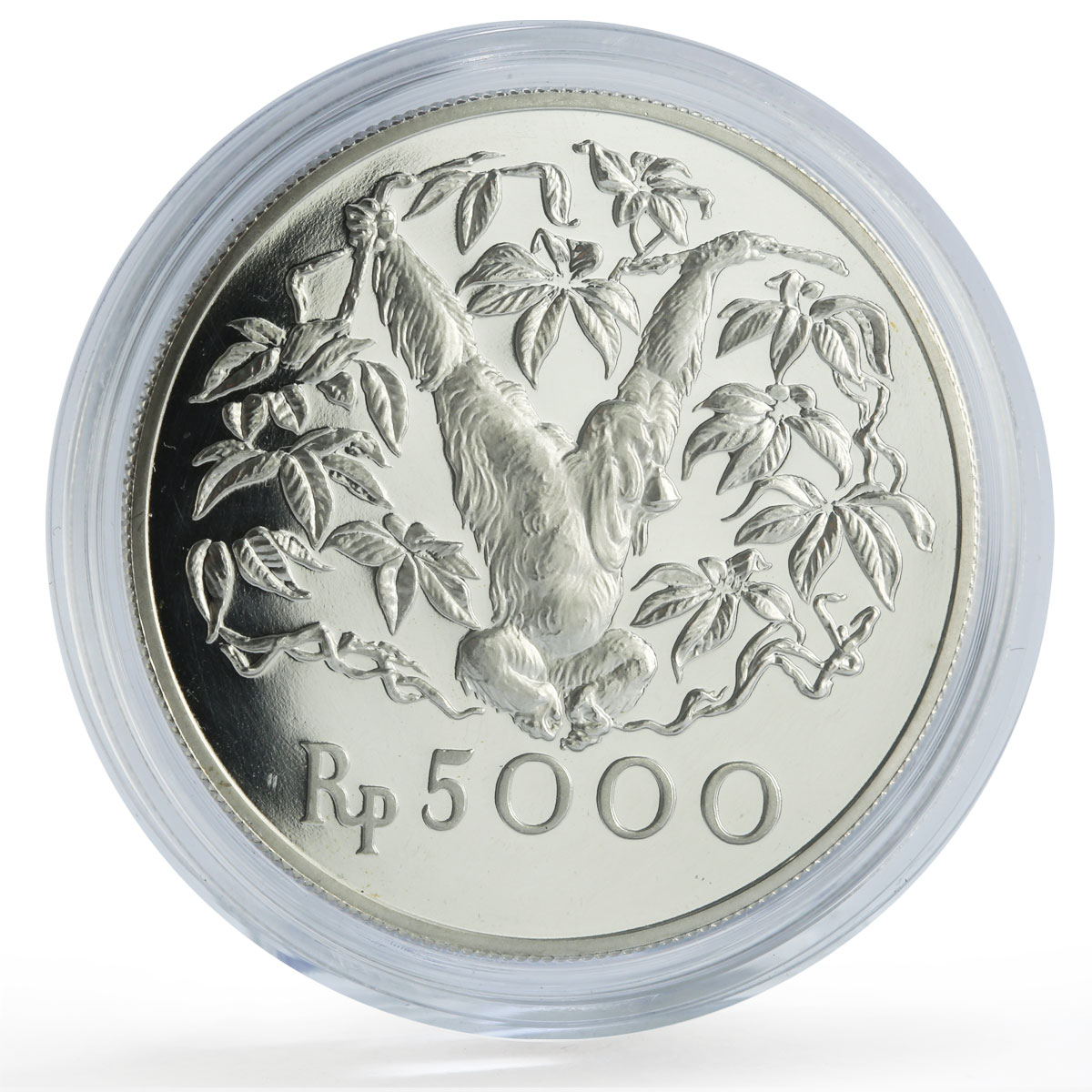 Indonesia 5000 rupiah Conservation Orangutan Monkey Fauna proof silver coin 1974