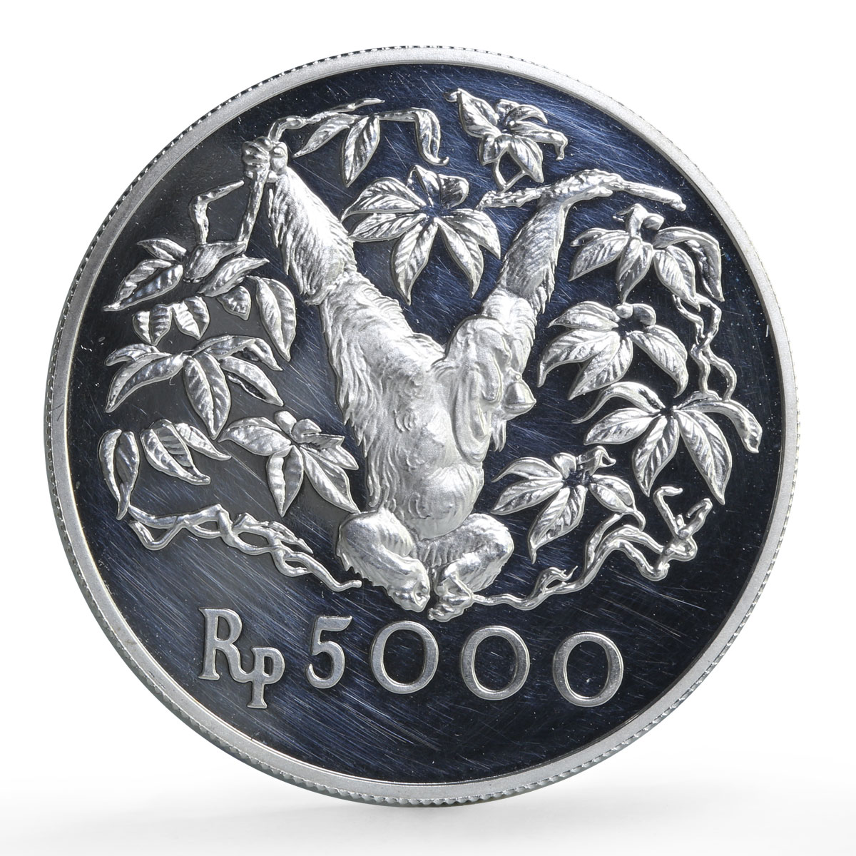 Indonesia 5000 rupiah Conservation Orangutan Monkey Fauna proof silver coin 1974