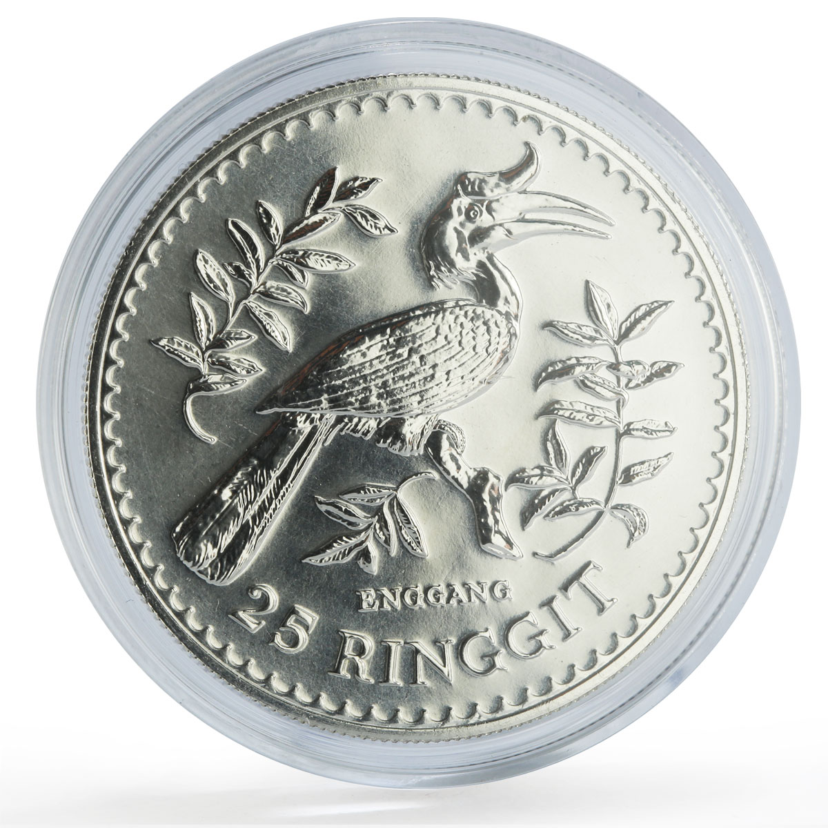 Malaysia 25 ringgit Conservation Wildlife Hornbill Bird Fauna silver coin 1976