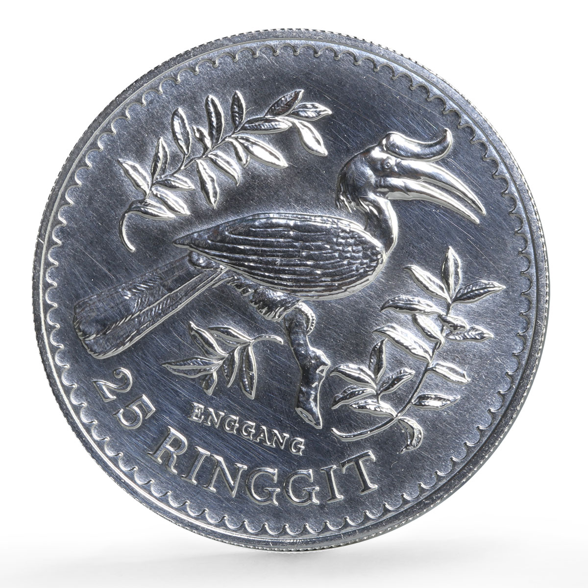 Malaysia 25 ringgit Conservation Wildlife Hornbill Bird Fauna silver coin 1976