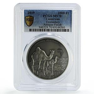 Cameroon 1000 francs African Ounce Wildlife Camels MS70 PCGS silver coin 2019