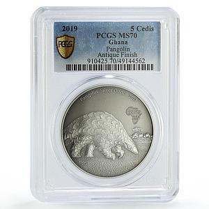 Ghana 5 cedis African Ounce Wildlife Pangolin Fauna MS70 PCGS silver coin 2019