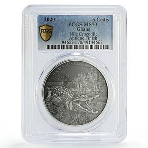 Ghana 5 cedis African Ounce Wildlife Crocodile Fauna MS70 PCGS silver coin 2020
